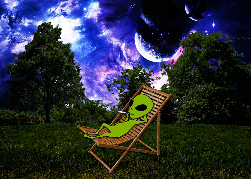 Commissioned & Personal Designs