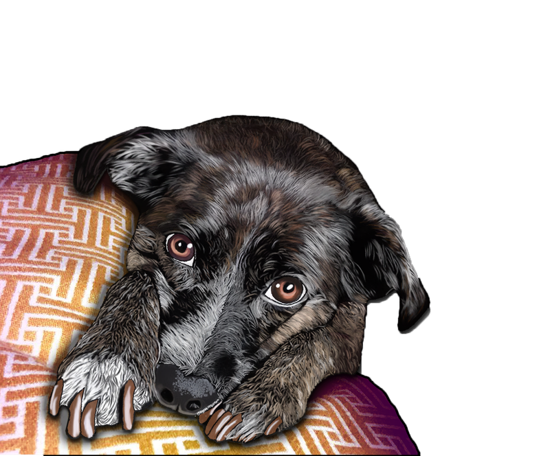 Commissioned & Personal Designs