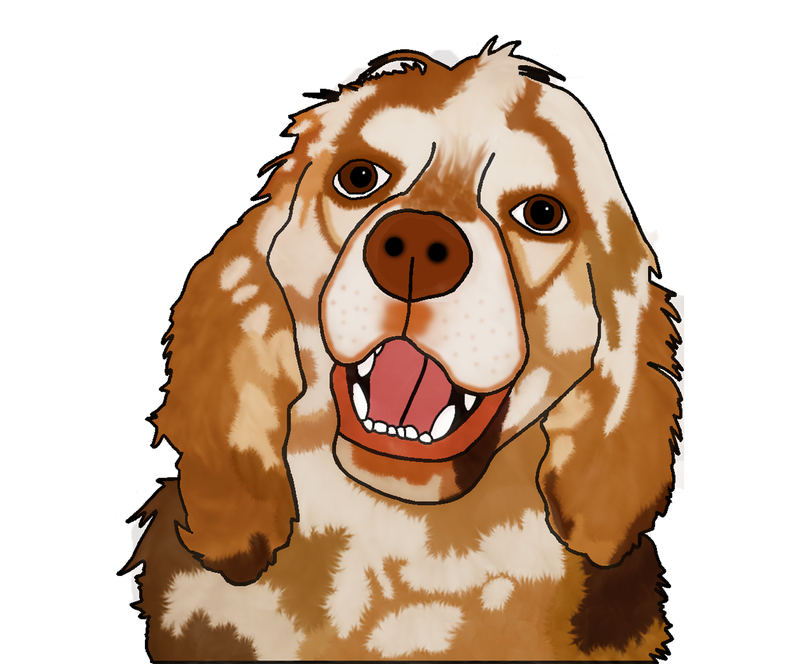 Commissioned & Personal Designs