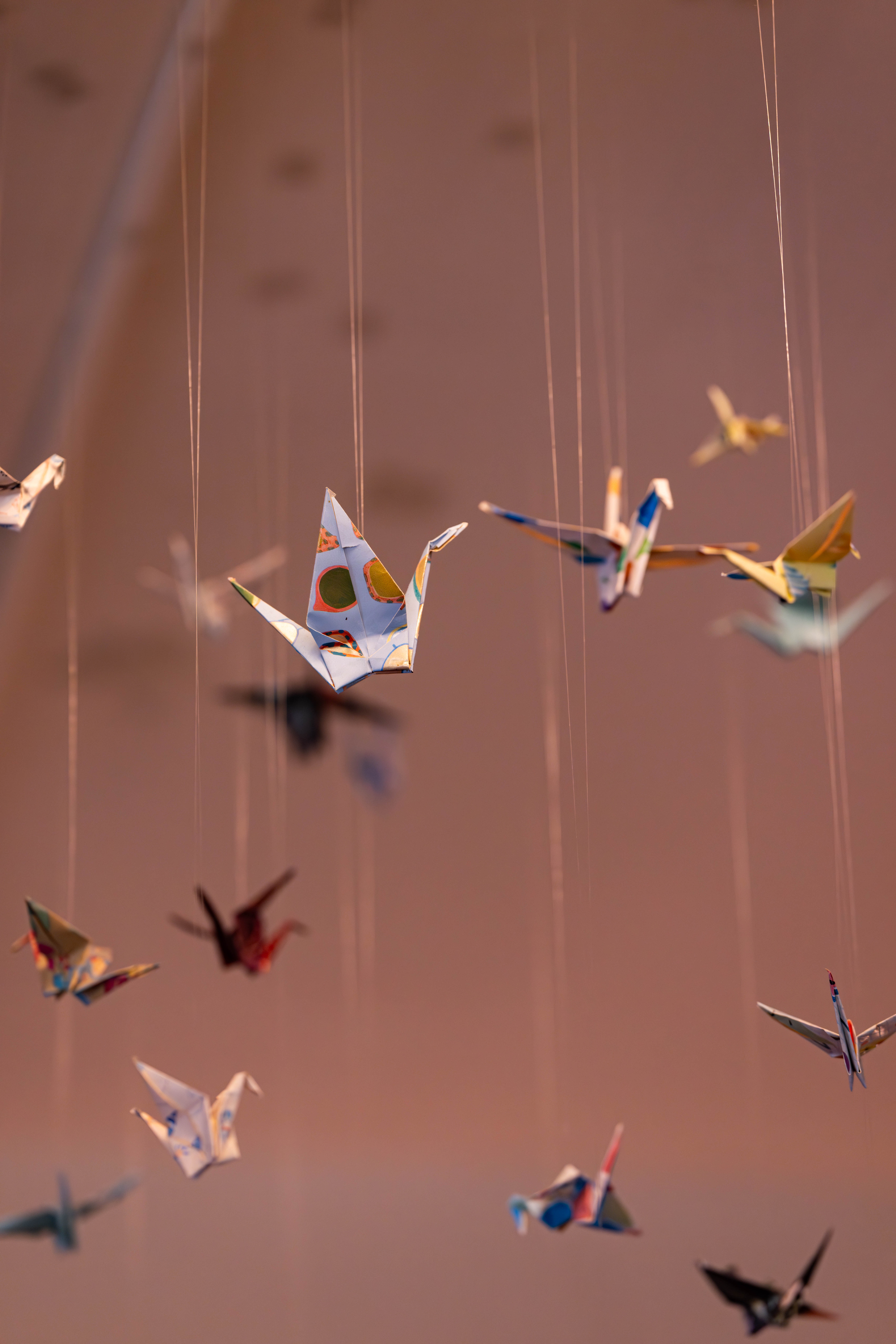 Peluquería La Maison