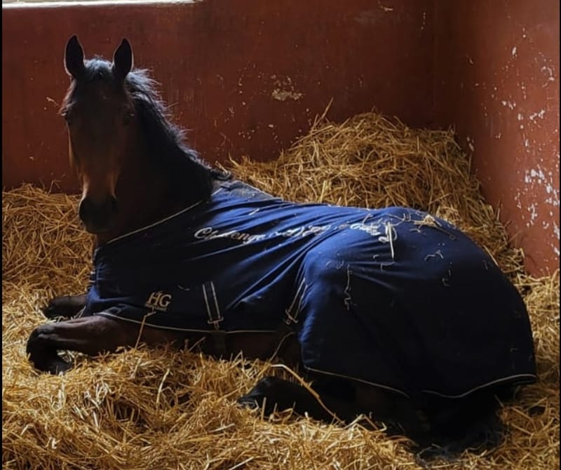 Faroah ist neu mit im Team