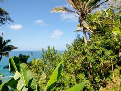 Land for Sale in San Pancho – Invest in Paradise with Galvan Luxe