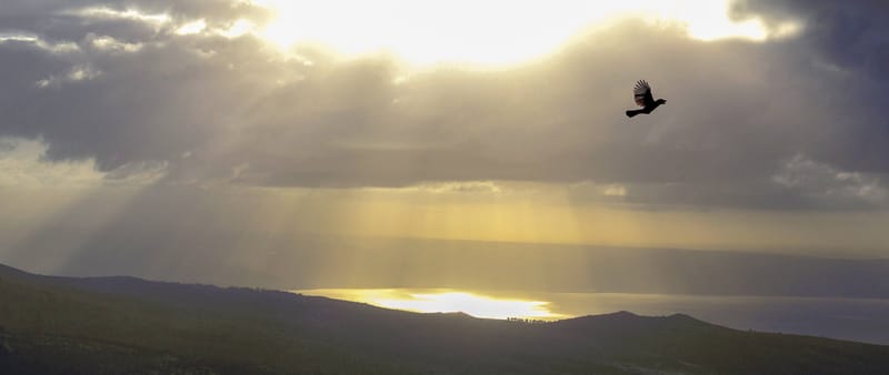 עוצמות עצומות
