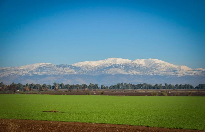 עוצמות עצומות