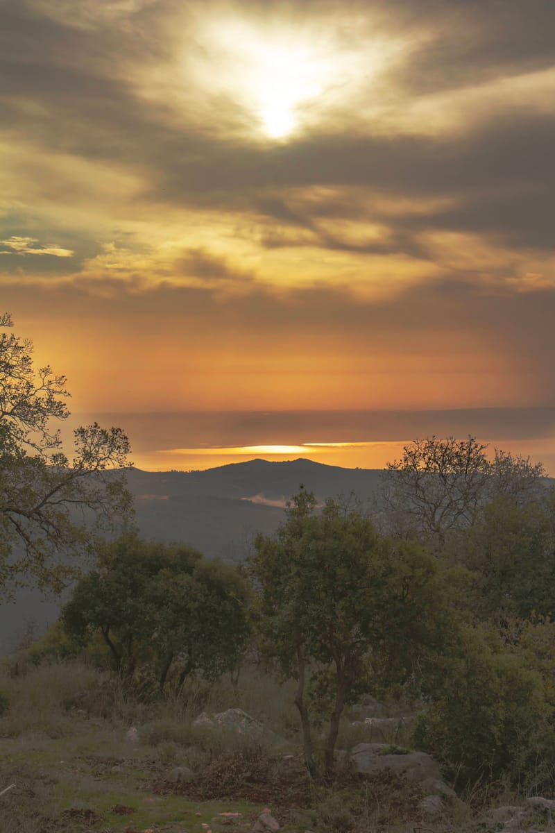 עוצמות עצומות