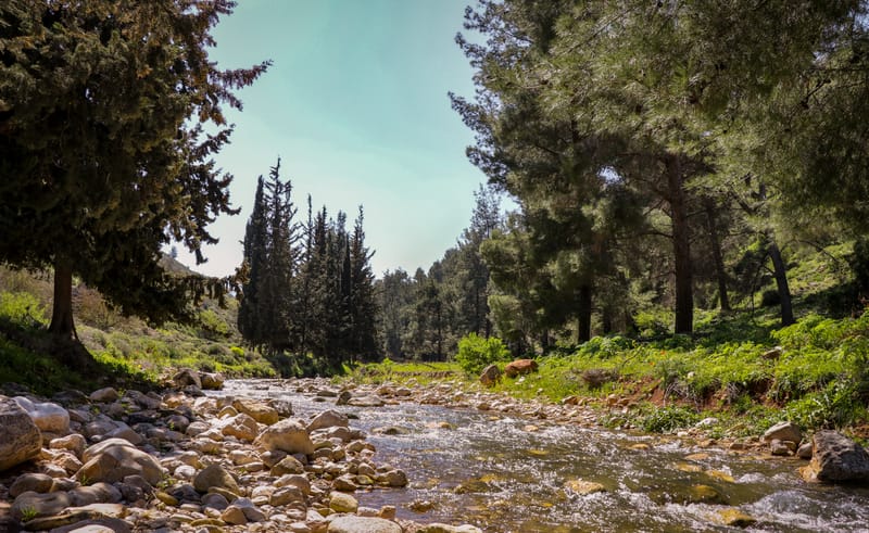 עוצמות עצומות
