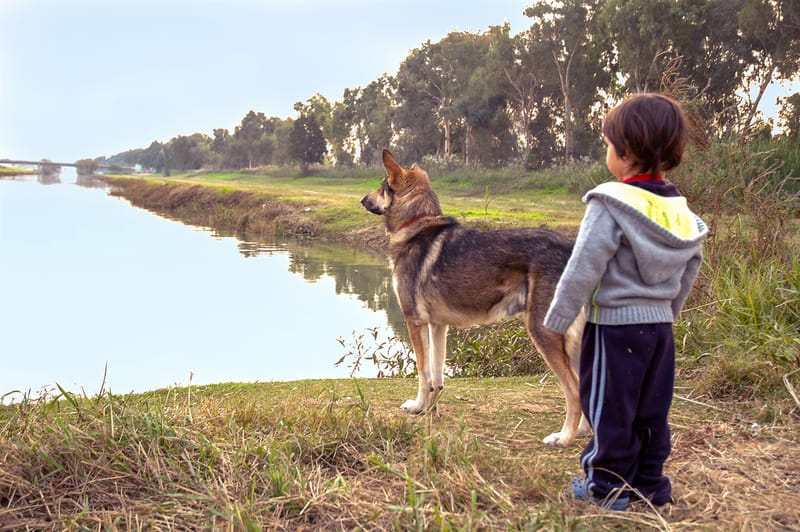 דיוקן של רגע