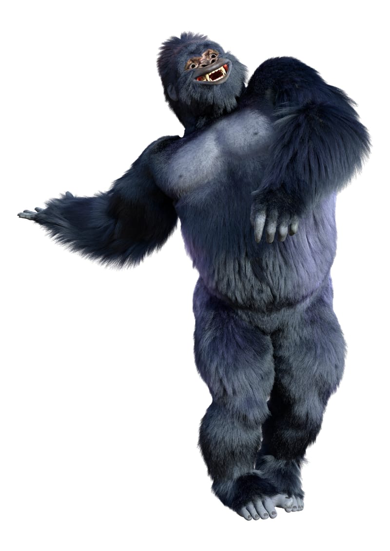 GORILLA DANCE - seedling (fem)