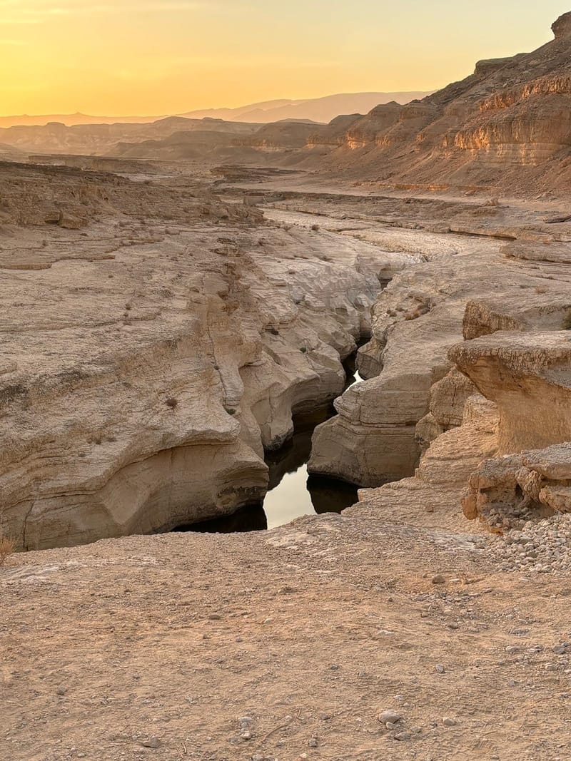 🌄 מסע טיול משפחות למצוקי דרגות — בעקבות דוד המלך במדבר יהודה