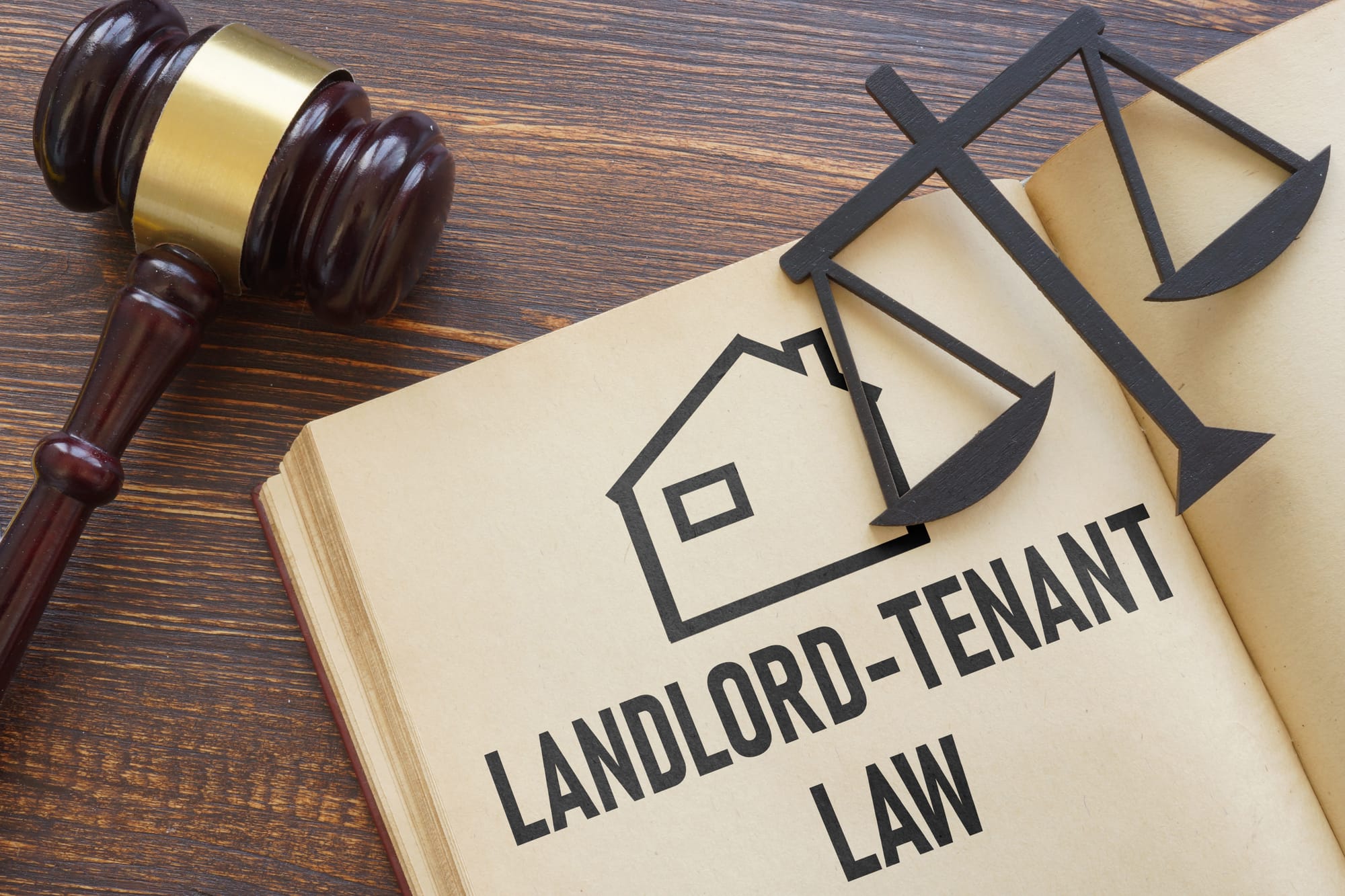 What the New Renters Rights Act Means for Landlords and Tenants in Plymouth