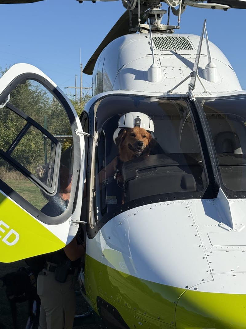 Donation for K9 Penny