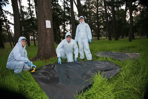 CSIRO researchers discover new bat-borne virus: Salt Gully virus