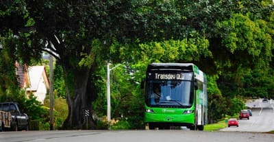 New bus services for Bahrs Scrub?