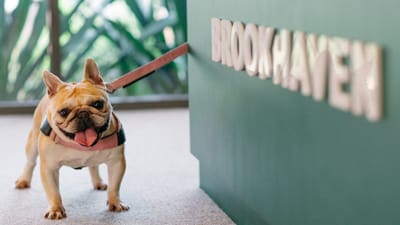 Greenleaf Park: Opening Soon at Brookhaven