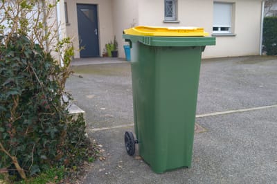Bin Days are Changing