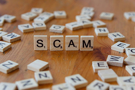 Outsmart the Scammers