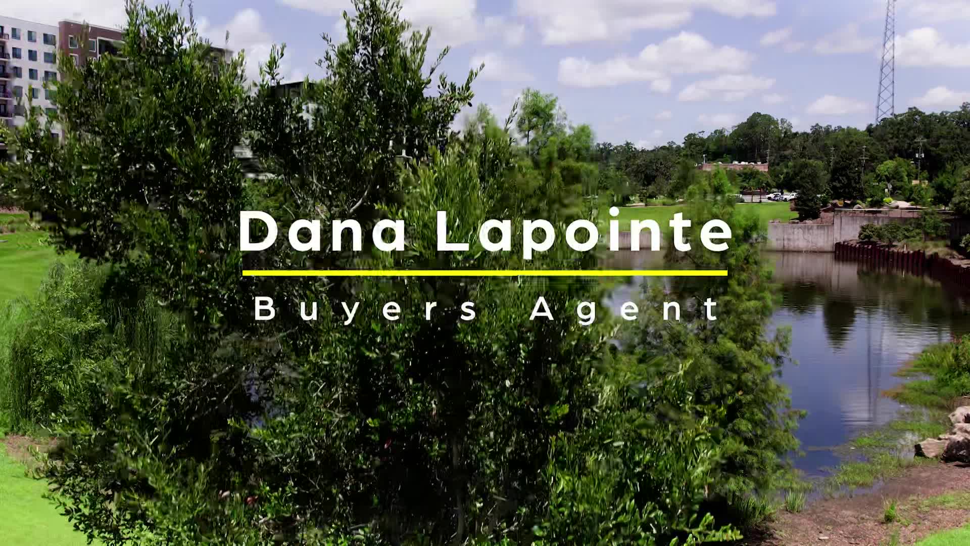 Buyer and Listing's Agent Videos