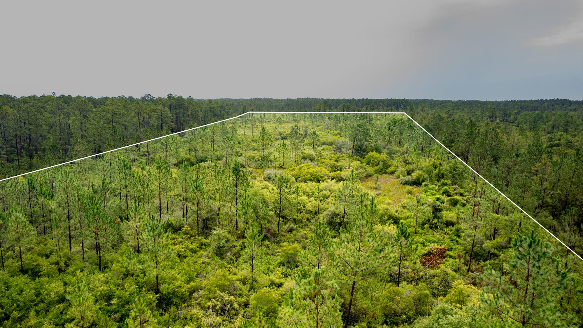 Vacant Land Photography