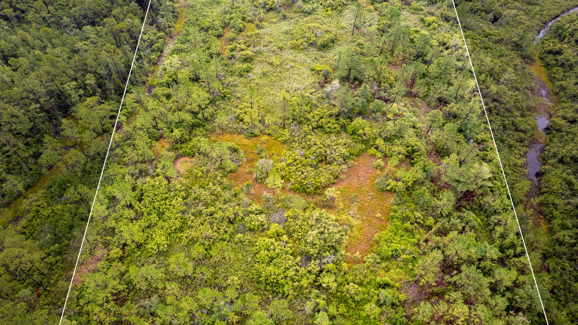 Vacant Land Photography