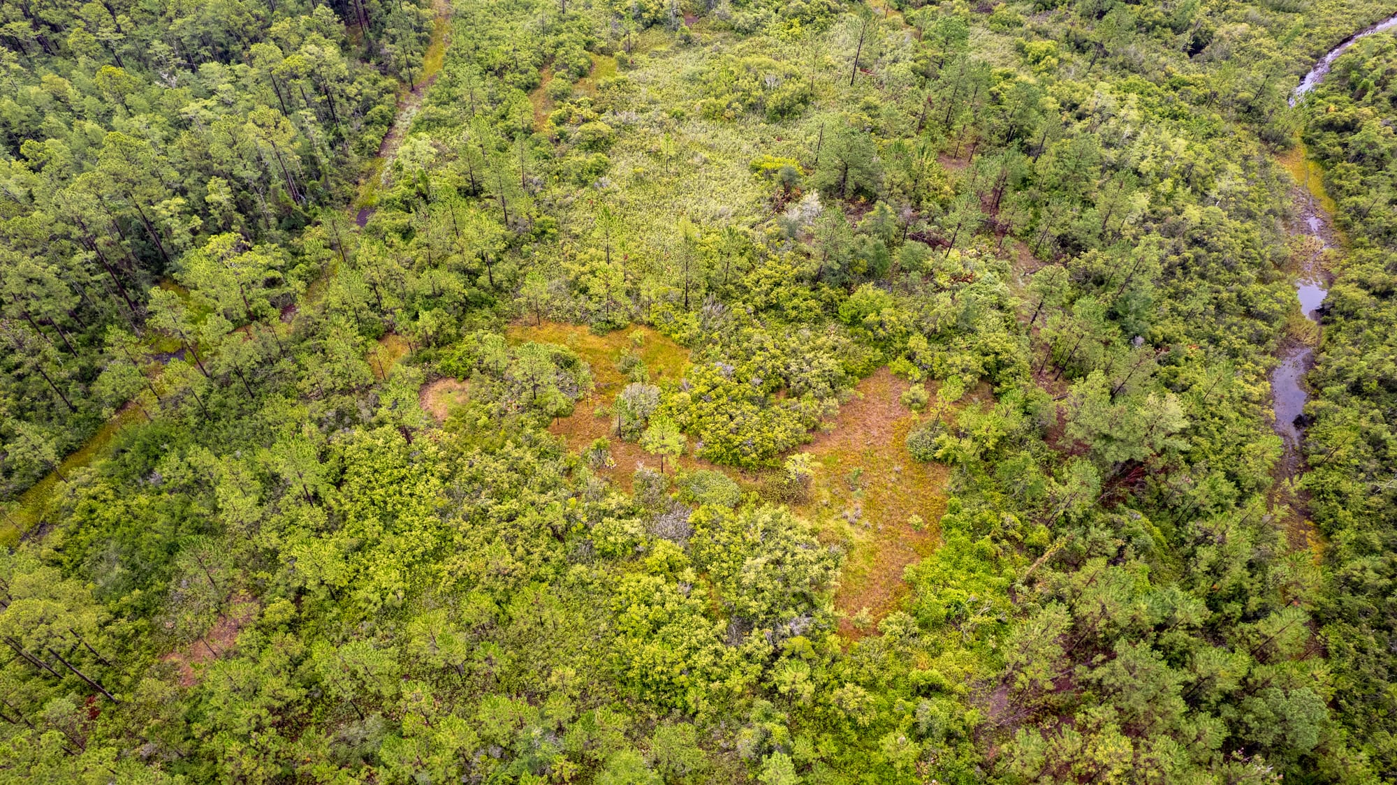 Vacant Land Photography