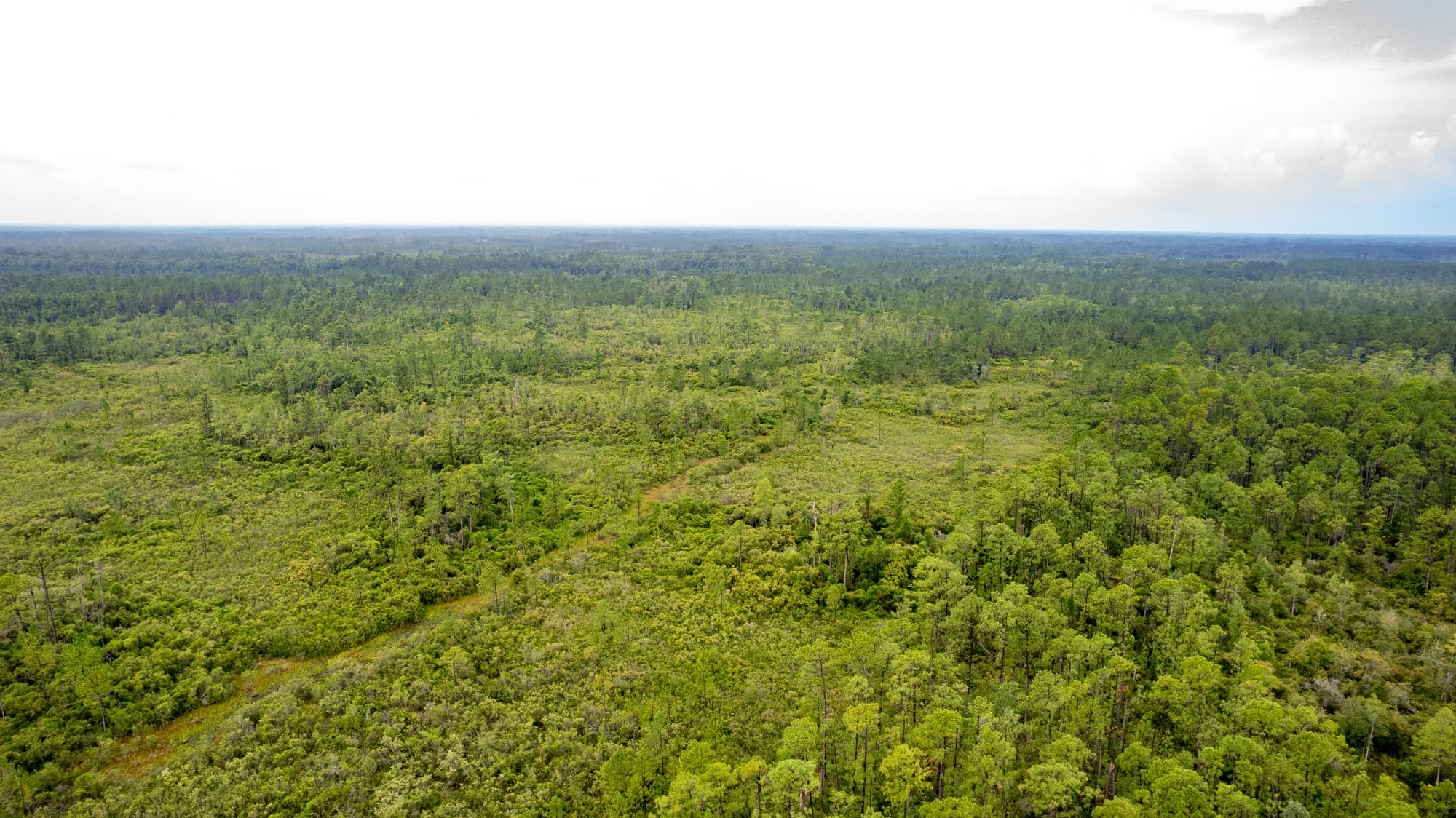 Vacant Land Photography