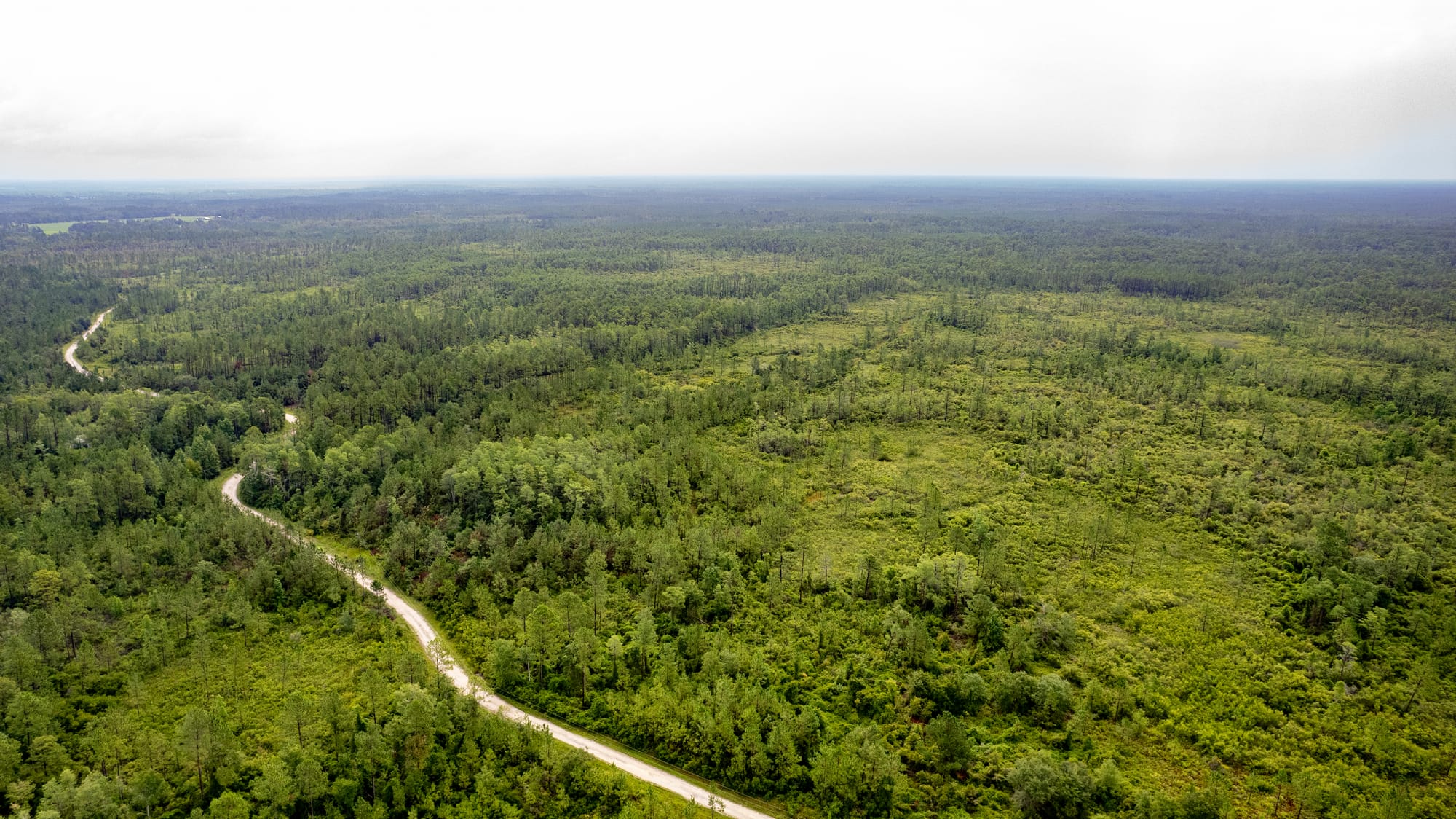 Vacant Land Photography