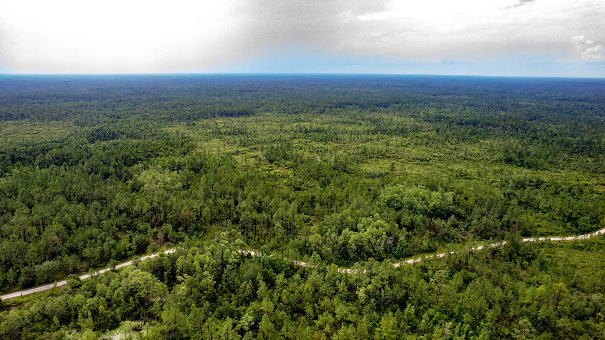 Vacant Land Photography