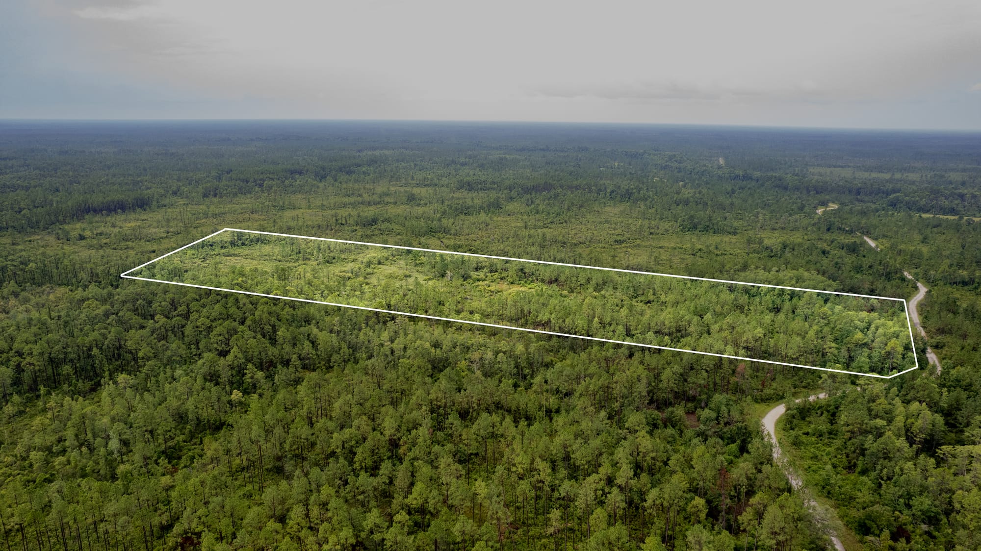 Vacant Land Photography