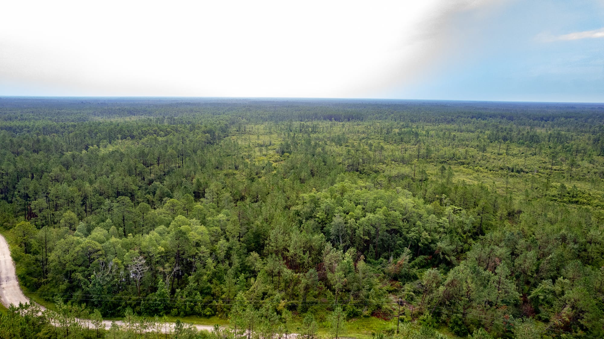 Vacant Land Photography