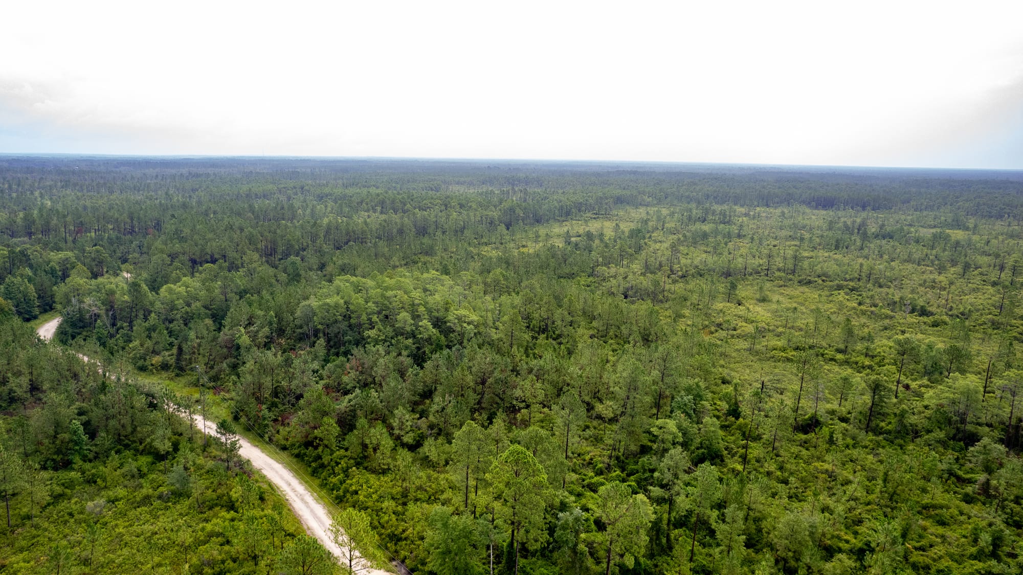 Vacant Land Photography