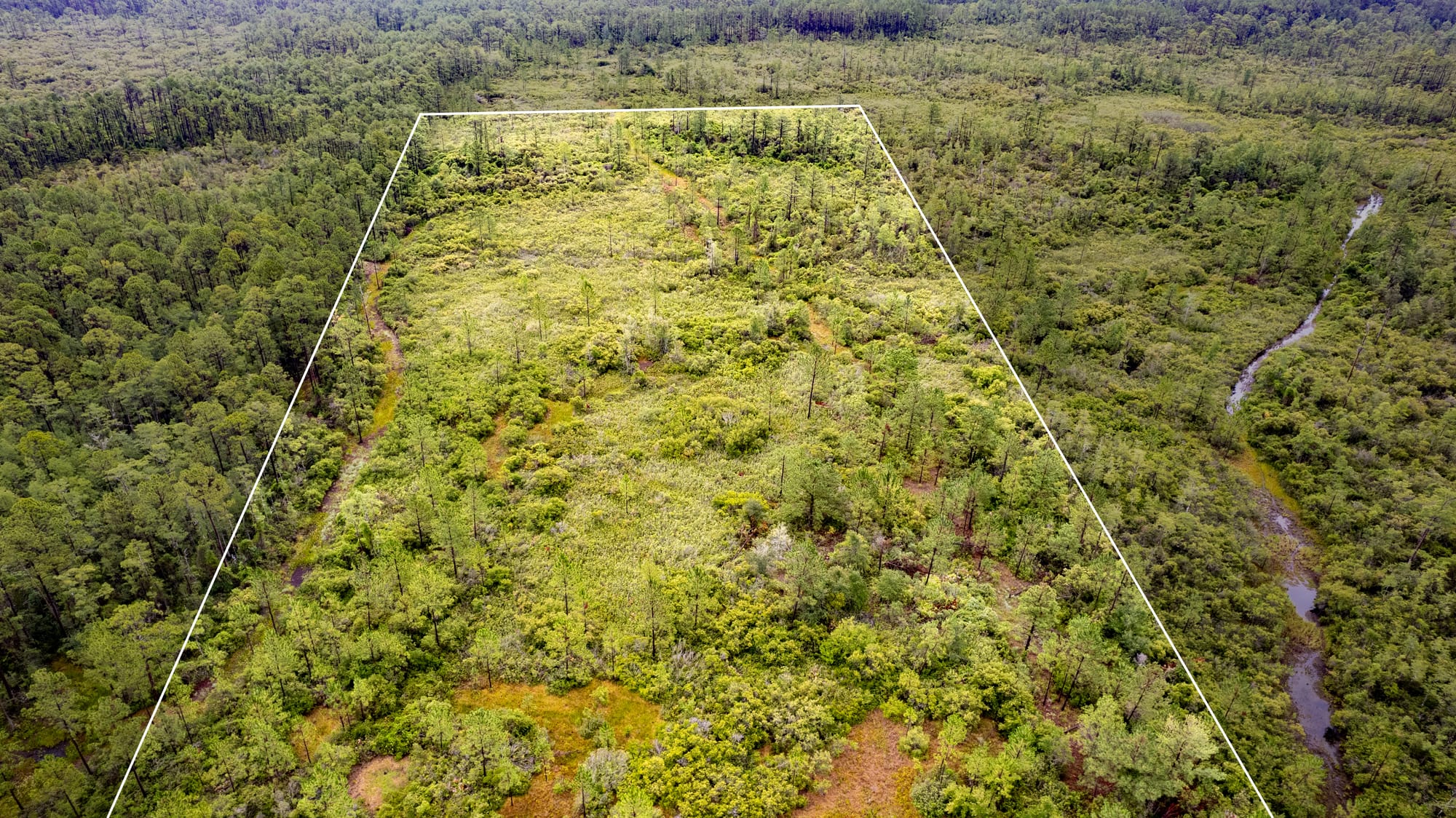 Vacant Land Photography