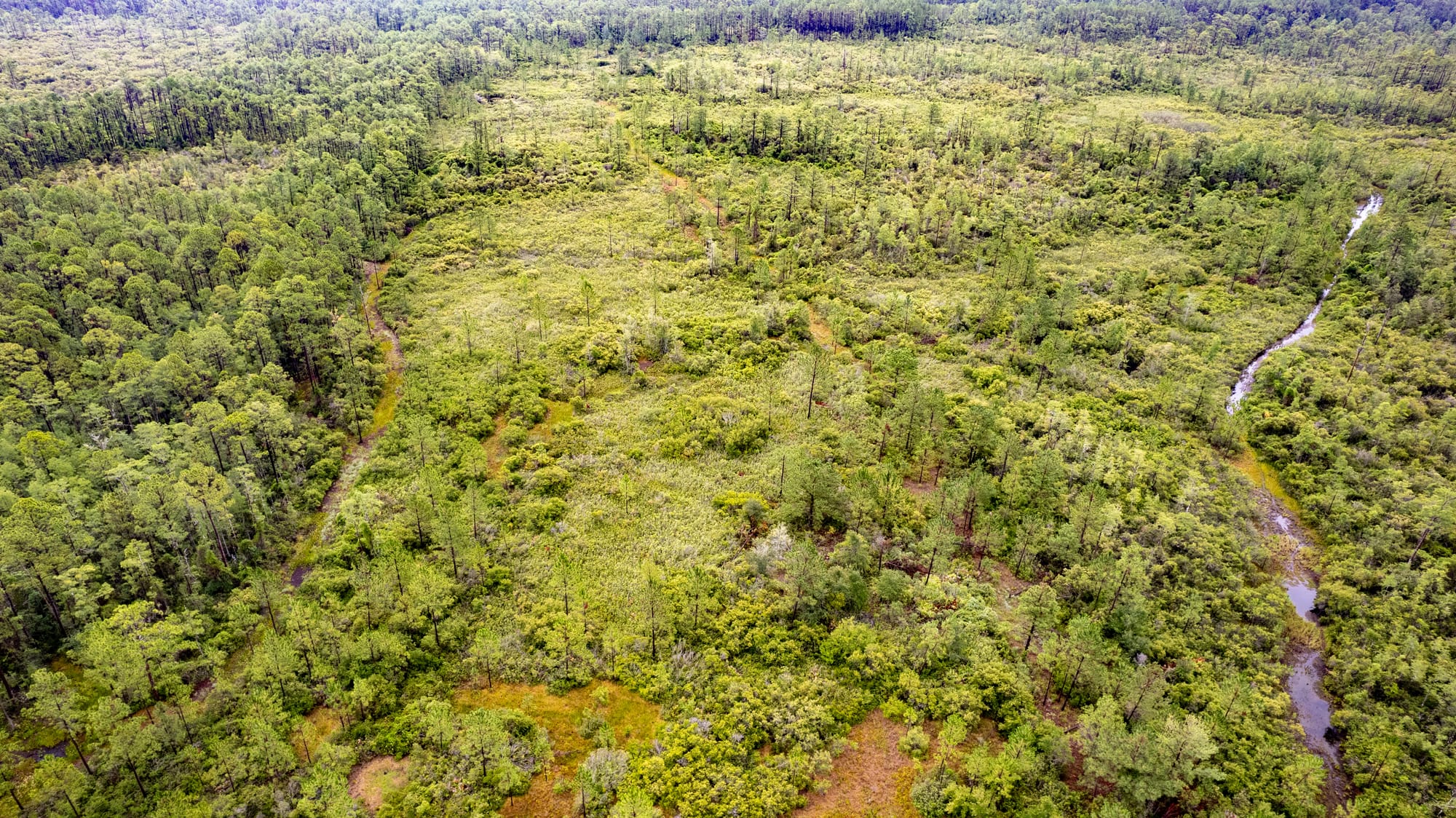 Vacant Land Photography