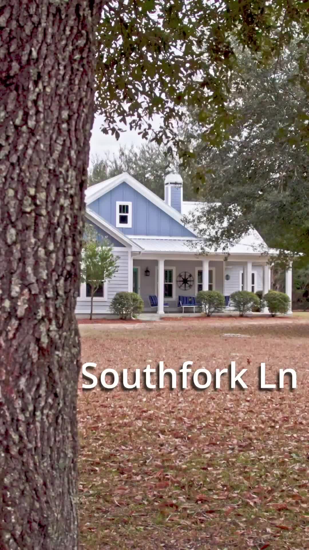 Social Media Video Examples