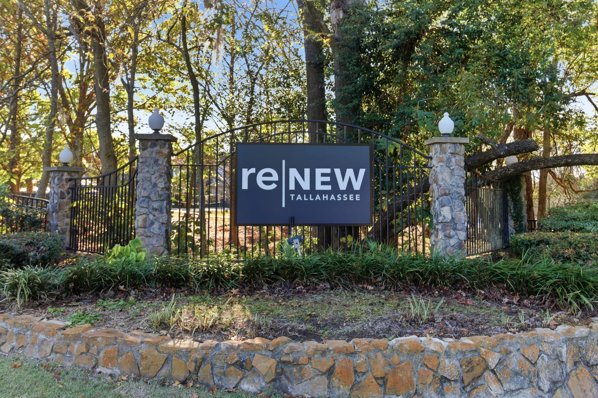 ReNew Tallahassee