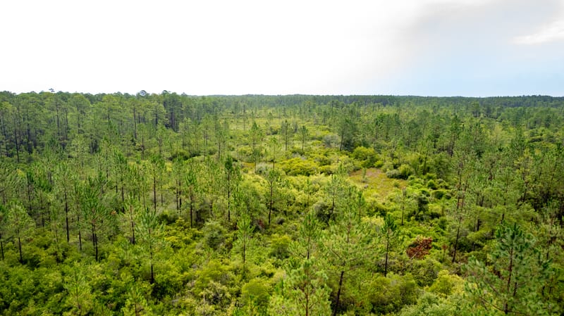 Sample Images For Vacant Land Photography