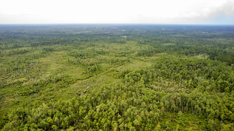 Sample Images For Vacant Land Photography