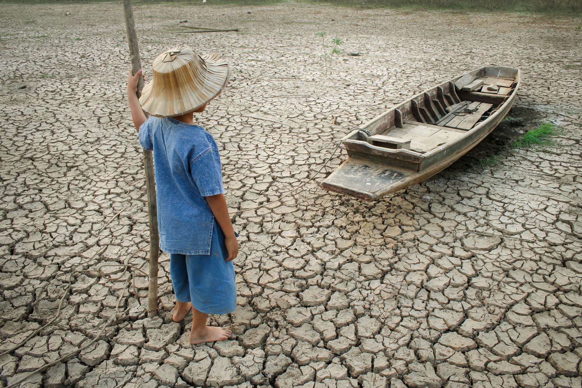 Climate Change Impacts