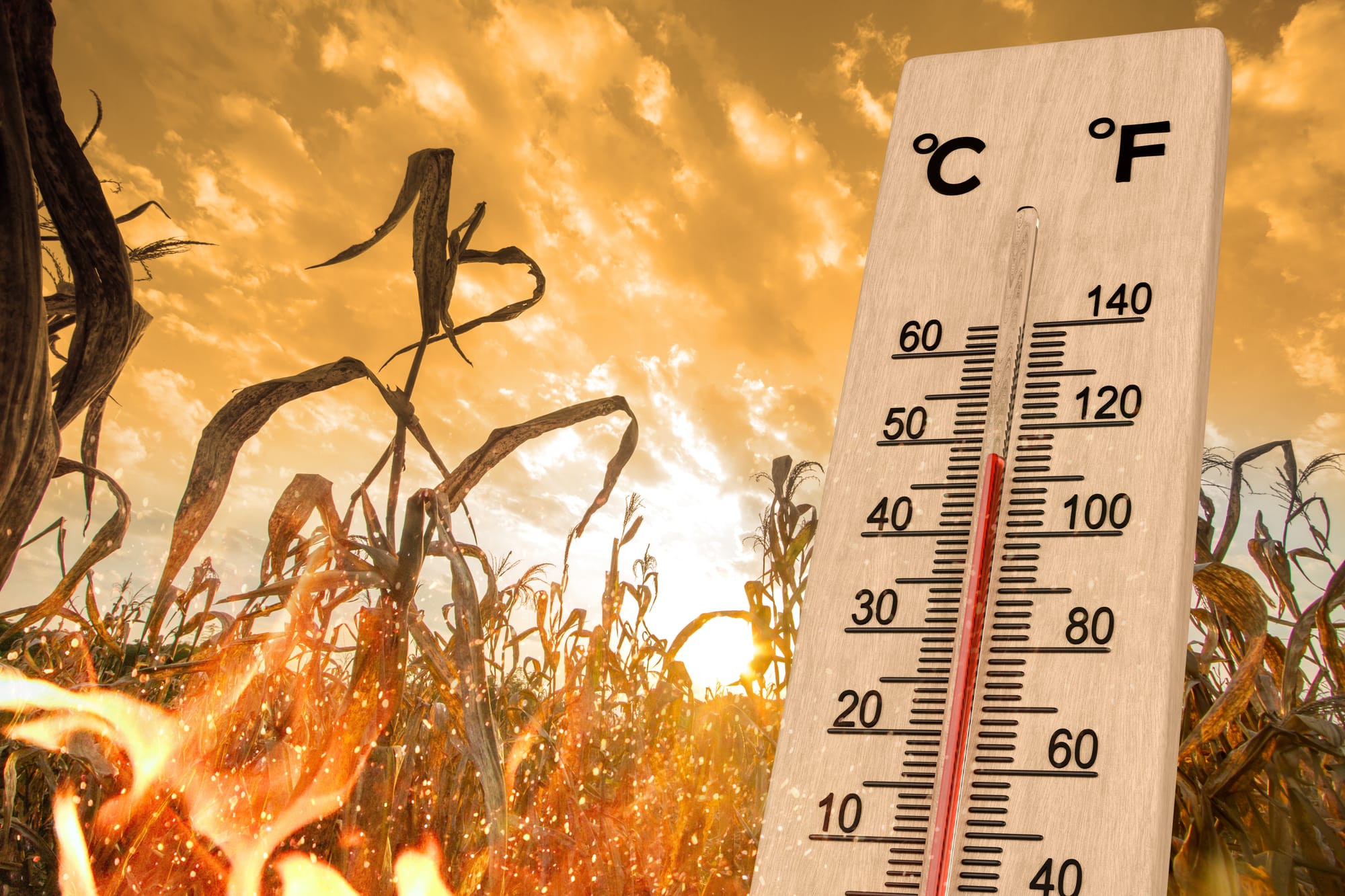 Climate Disaster Prevention