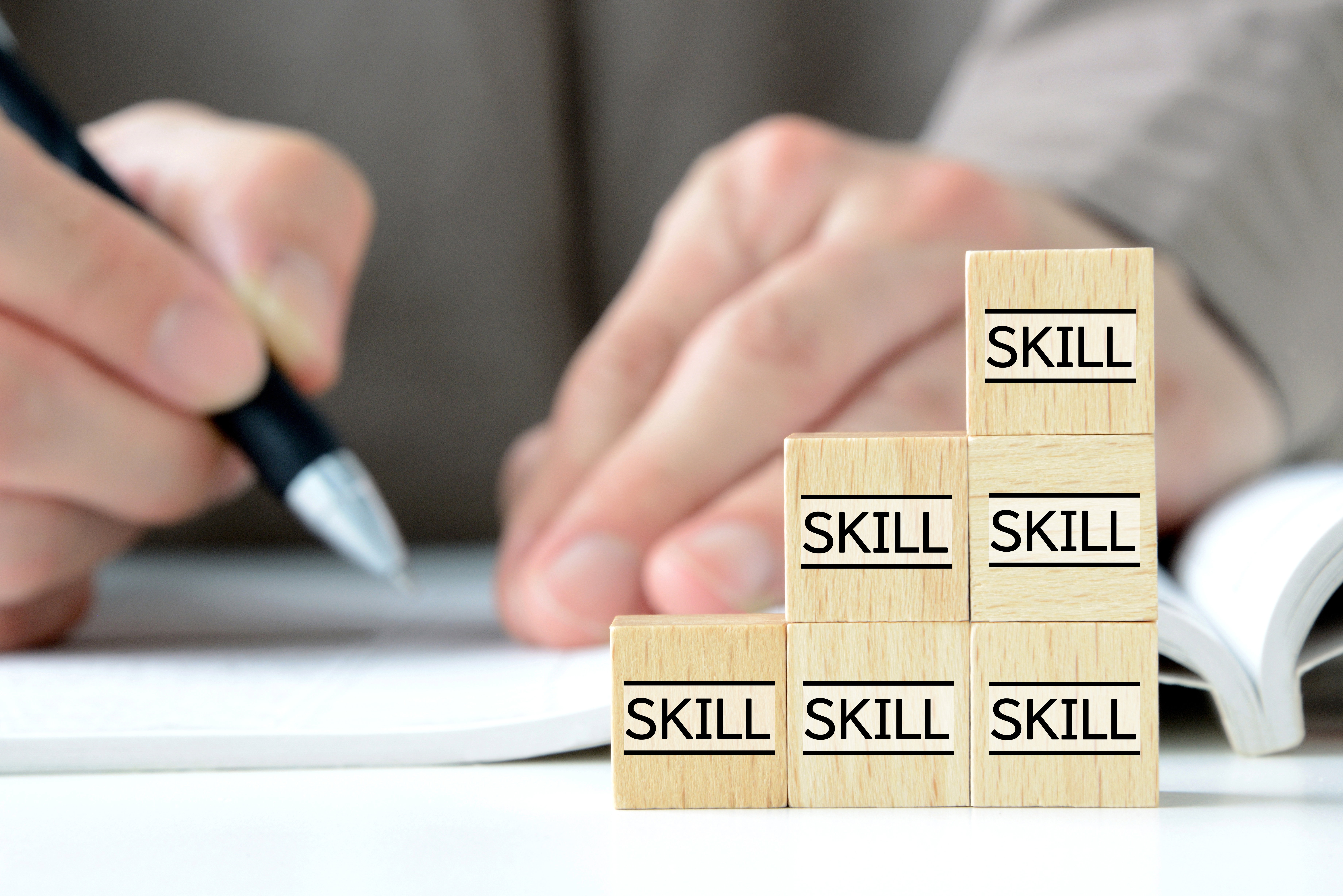 "Skills" is one of the training support products from the Human Resources Development Fund (HRDF).