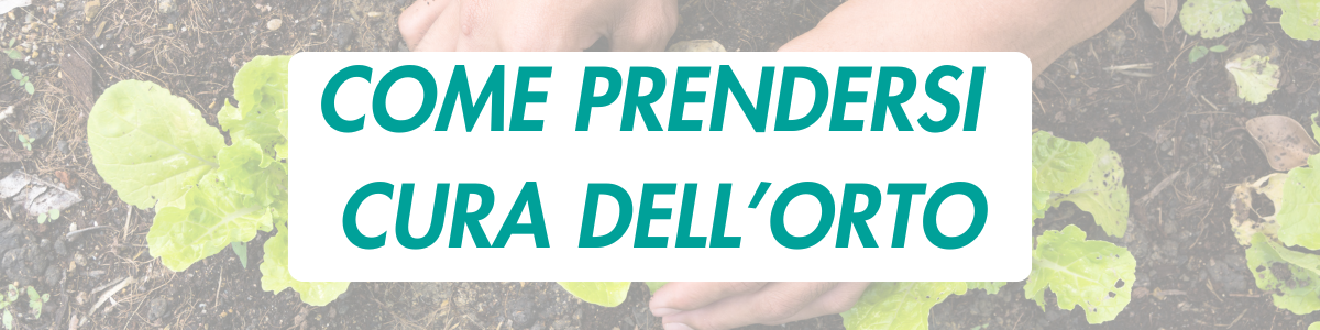 COME PRENDERSI CURA DELL’ORTO: AL VIA IL CICLO DI INCONTRI GRATUITO ALL’ORTO CONDIVISO DI VIA SAN PAOLINO