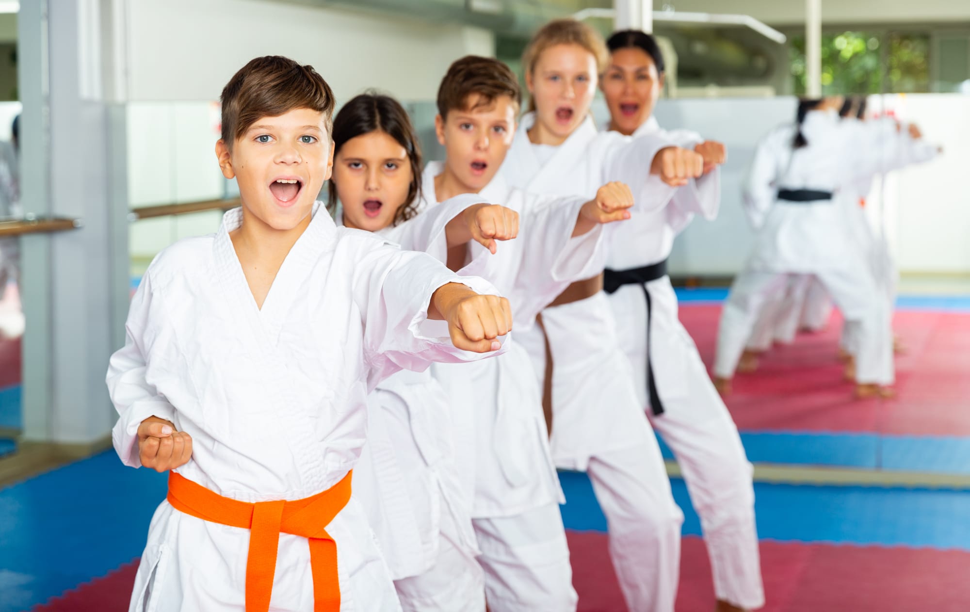 SPORT E BAMBINI – COSA ABBIAMO FATTO E COSA FAREMO: KARATE