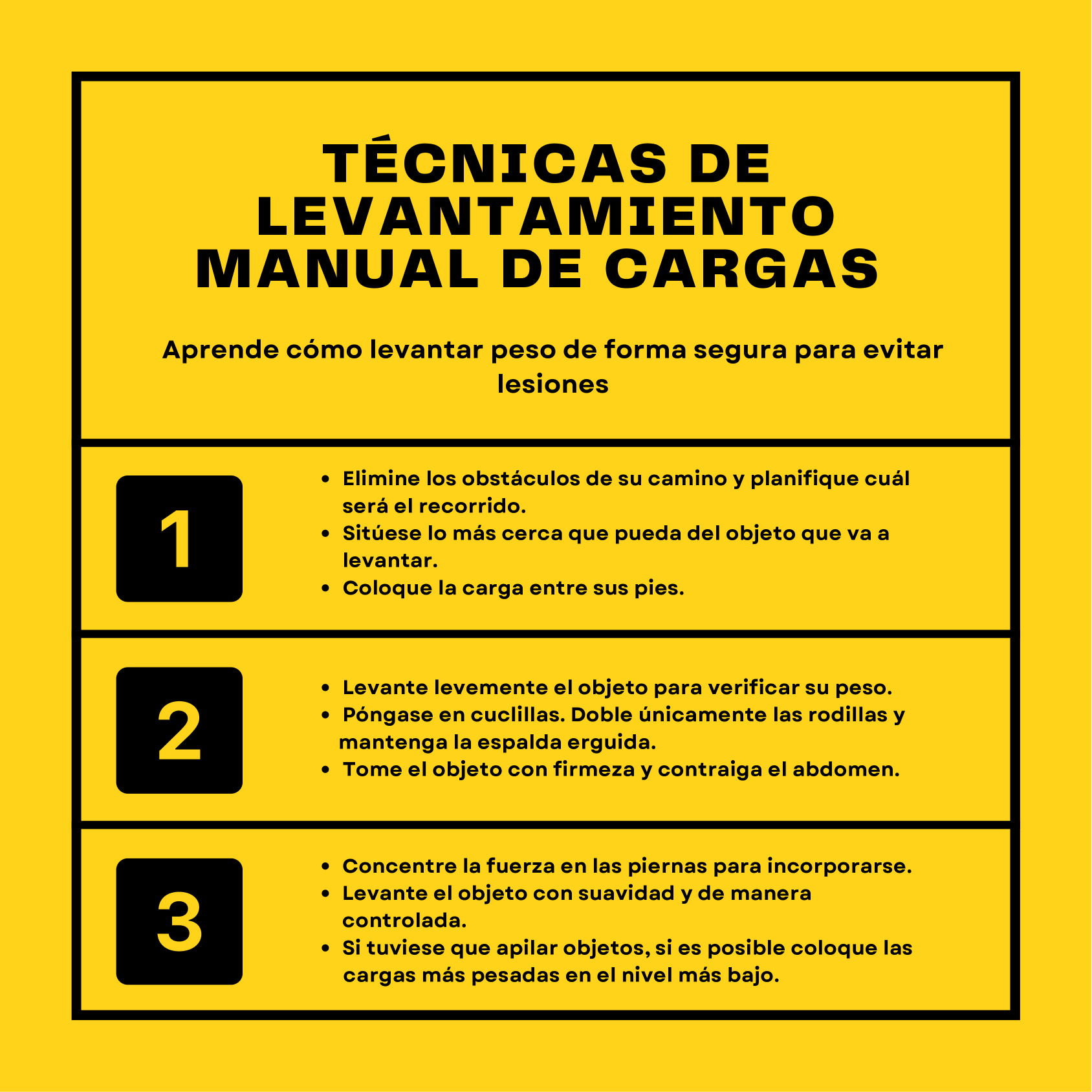 Manual de cargas