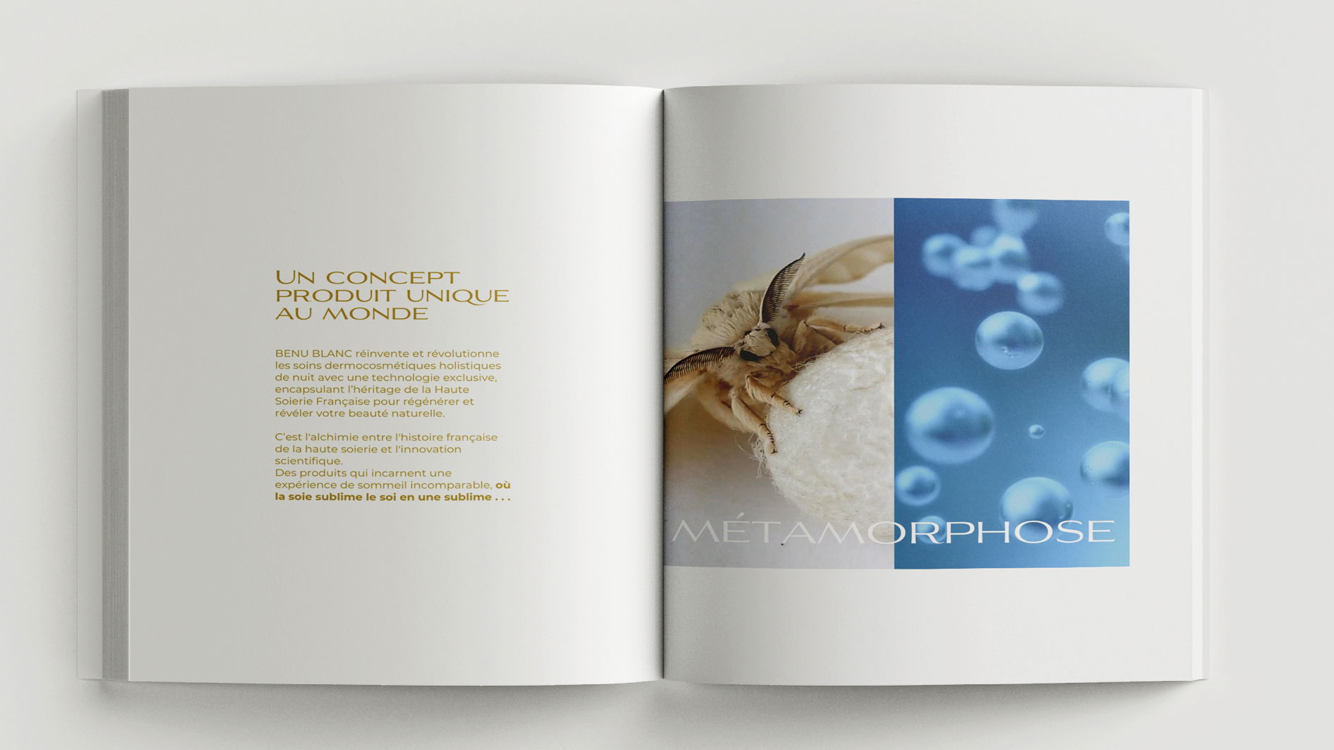 #PLATEFORME DE MARQUE#TAGLINE#TONE OF VOICE #STORYTELLING #BRANDING#TERRITOIRE DE COMMUNICATION#DIGITAL BRANDING #SITE#DIRECTION ARTISTIQUE