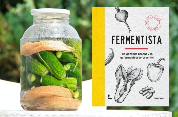 De gezonde kracht van gefermenteerde groenten