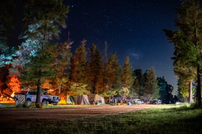 Little Eeden Pine Camp