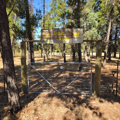 Little Eeden Pine Camp