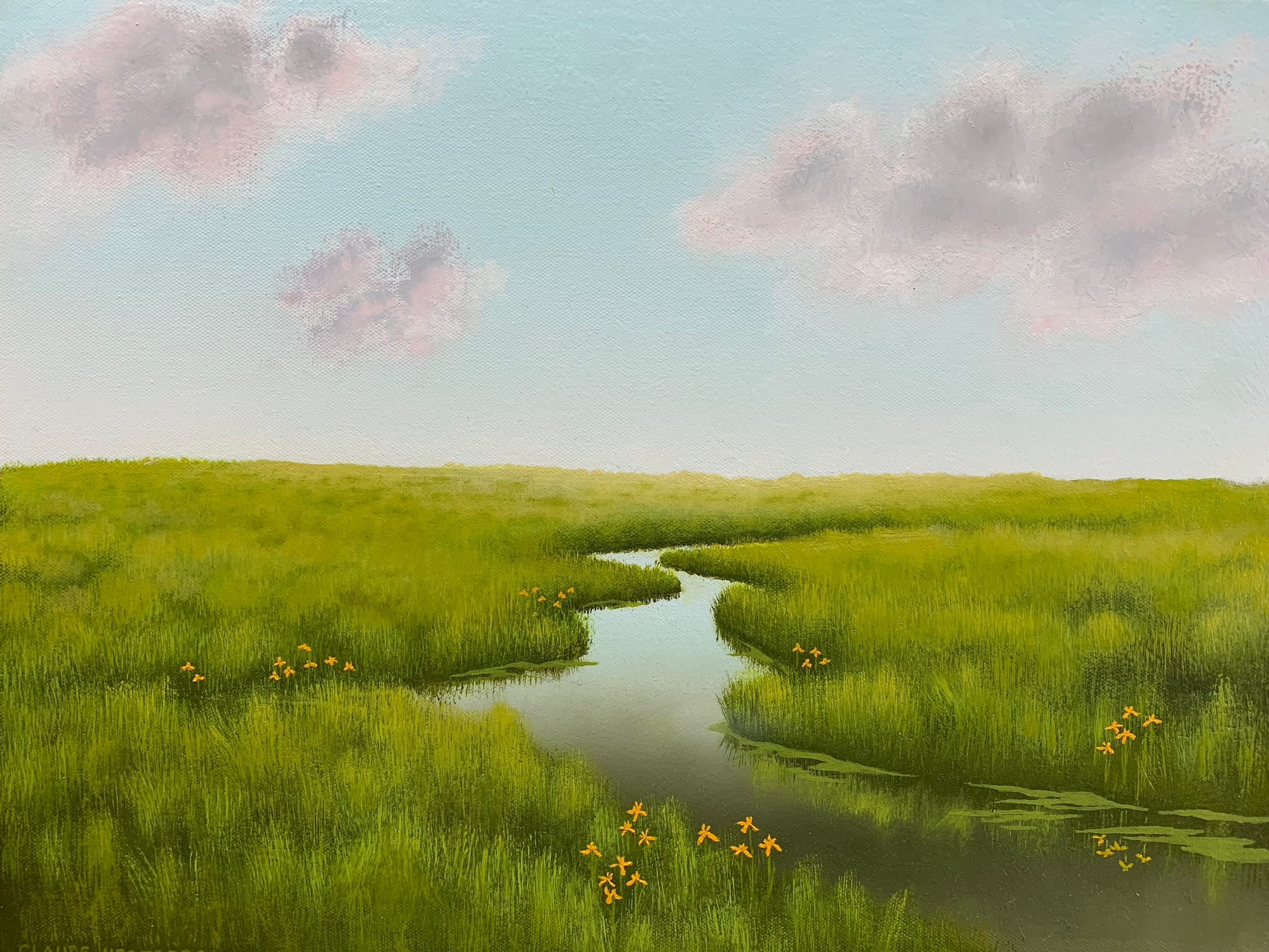Water Lilies 2024
