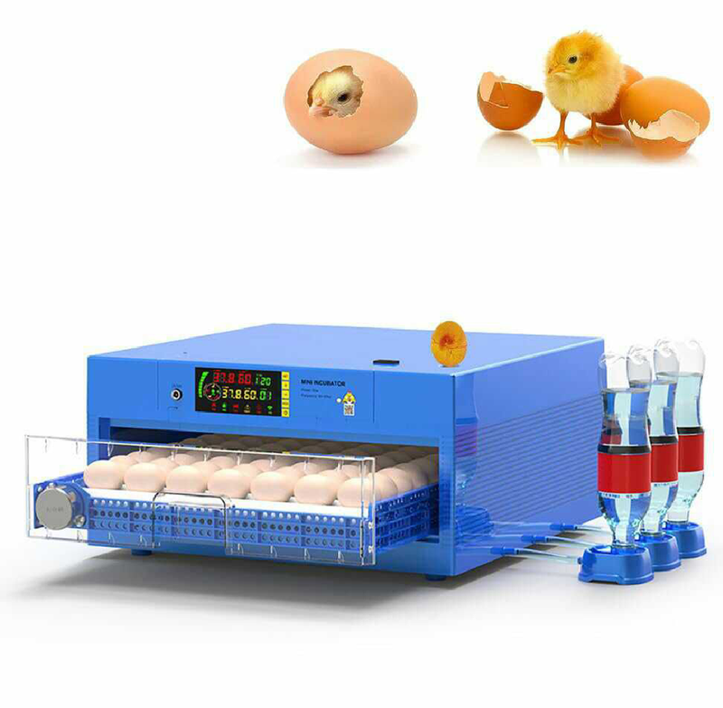 Sekat Brooder Brooders, Seed Germination Systems | Your Perfect Solution