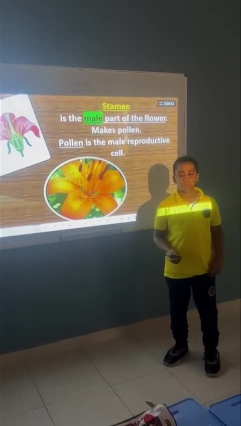 Grade 4 External structure and function of  plants SY 2024-2025 (September 16, 2024)  