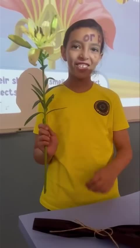 Grade 4 External structure and function of  plants SY 2024-2025 (September 16, 2024)  